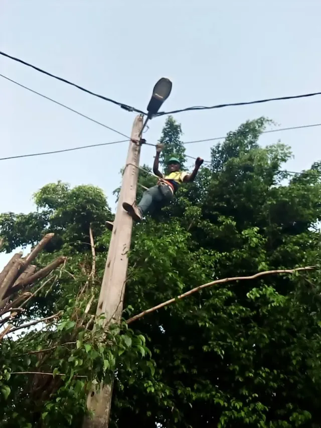 Conakry Metro Fibre & GPON Projects, photo 4 of 5